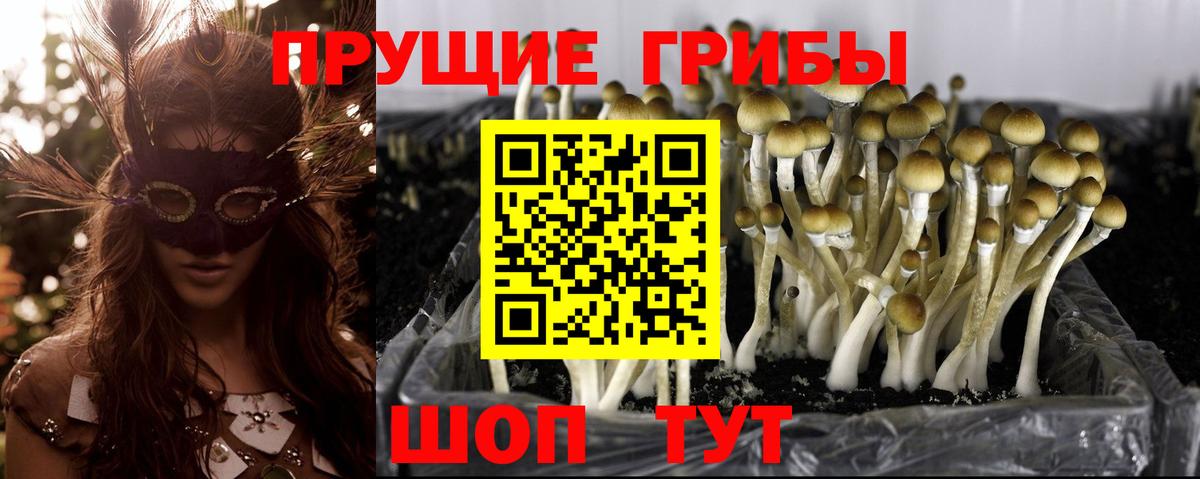 Псилоцибиновые грибы Psilocybine cubensis  Псилоцибиновые грибы Cubensis  цена наркотик  Вход с VPN  Тула 